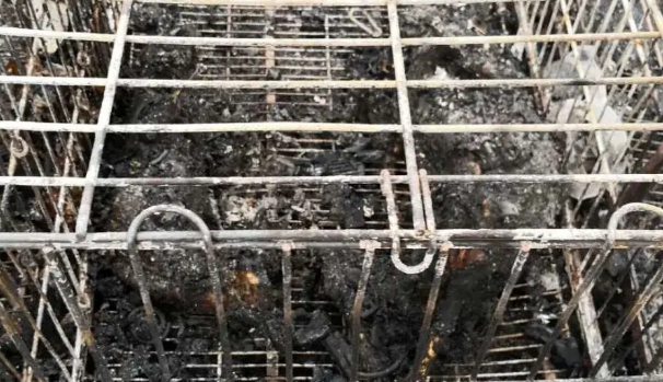 房子被人纵火，猫咪逃生后猛扑进主人怀里：还好你还在！