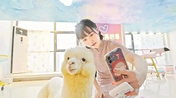 “它经济”崛起，江西宠物经济如何“出圈”？