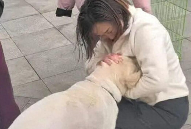 青岛女子刷视频发现走失3个月的宠物狗在长沙，当事人：已顺利接回