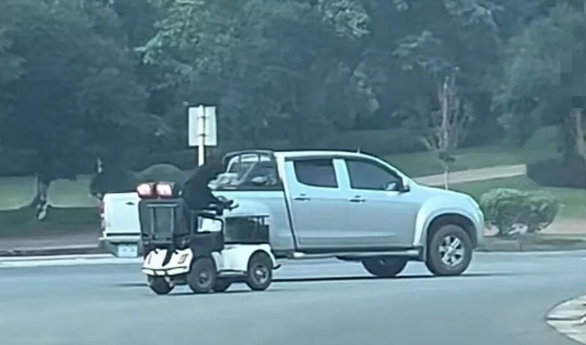 拉布拉多独自驾电动车上路？为啥不能狗开车？警方回应