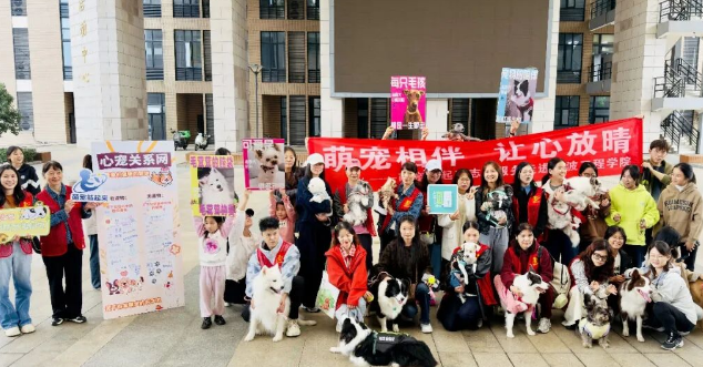 惊！十五只狗狗“空降”校园！