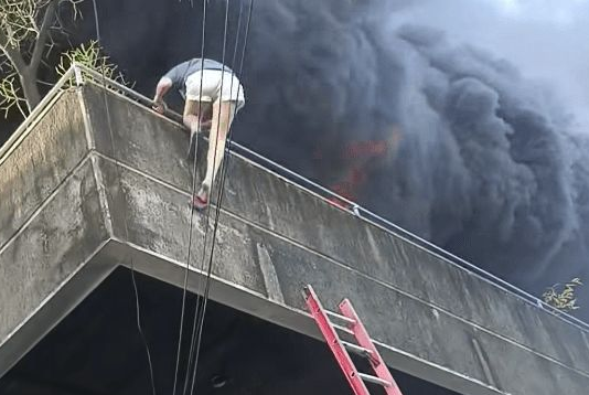 工厂陷火海生死一线，菲女先救两爱犬再逃生