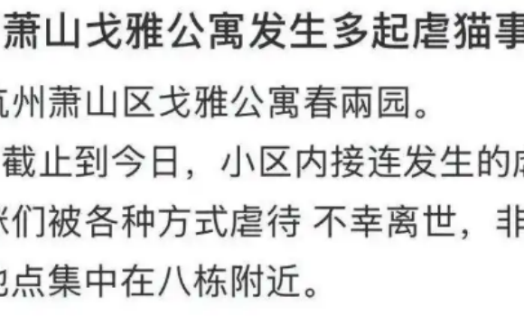 杭州被曝发生多起虐猫事件，猫咪或摔死或勒死