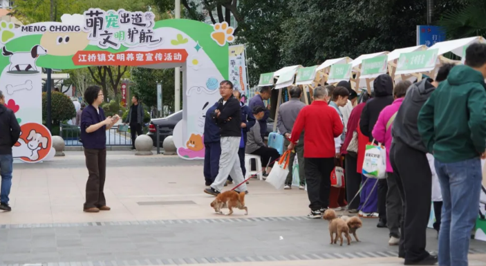 萌宠出道，文明护航！江桥镇宠物运动会嗨翻全场