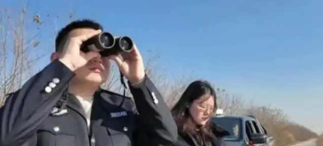 守护迁徙生命线 筑牢栖息防护网——君山区多部门联合开展野生动物保护专项行动