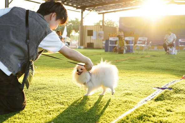 “宠物+文旅”新模式！从化首届宠物友好生活嘉年华启幕