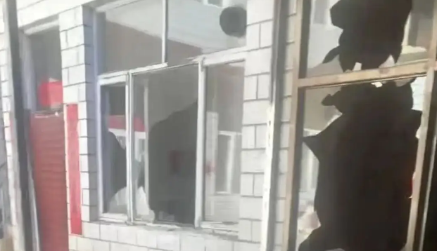 狗咬人被摔死，狗主人上门理论被反杀