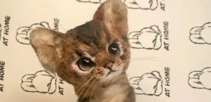我被一只阿比猫颜值迷晕，结果发现是扭扭棒做的，手艺好到逆天！