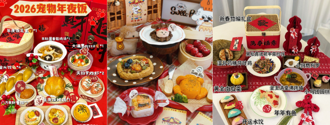 新战袍、年夜饭、抢“床位” 春节宠物消费迎热潮