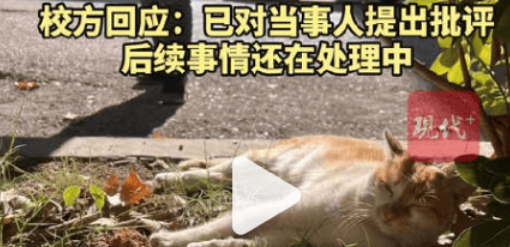 中学教师被指当学生面踩死流浪猫，学校：当事人的小孩被猫咬了