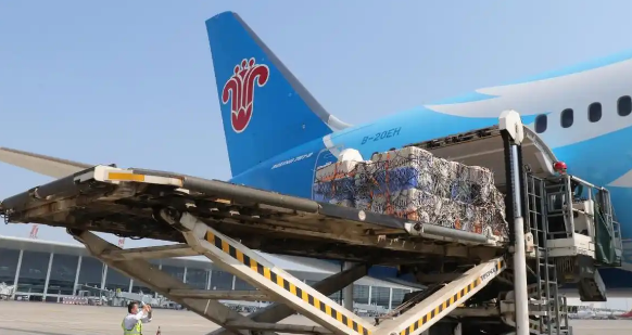 依托“空中丝路” 南航物流河南分公司护航萌宠跨境出行