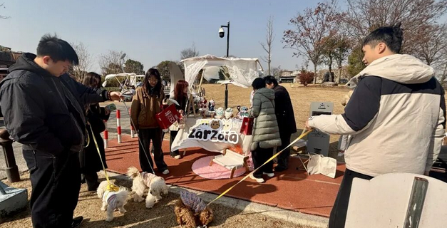“毛孩子”在泰晤士小镇开派对！