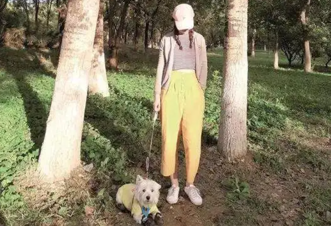 爱犬遭毒杀后，主人辞职追凶，为它“讨公道”1000多个日夜