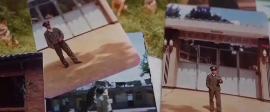 生死考验默契相守 民警与警犬“无情”的十一年