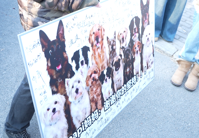 北京男子毒死9条宠物狗获刑4年！原告西高地Papi主人称宣判后自己受到网暴