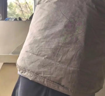 冬季月均“送别”100只，杭城宠物入殓师：让毛孩子体面地离开