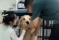 博主忘记去宠物店接狗…想起来时狗子却不愿意回家了