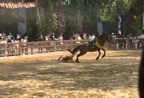 广州长隆野生动物世界表演出意外，演艺人员被马匹拖行