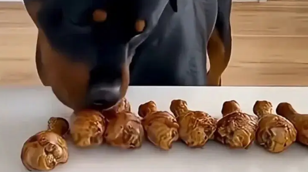 主人用一排鸡腿诱惑自家两只汪，大狗做法绝了