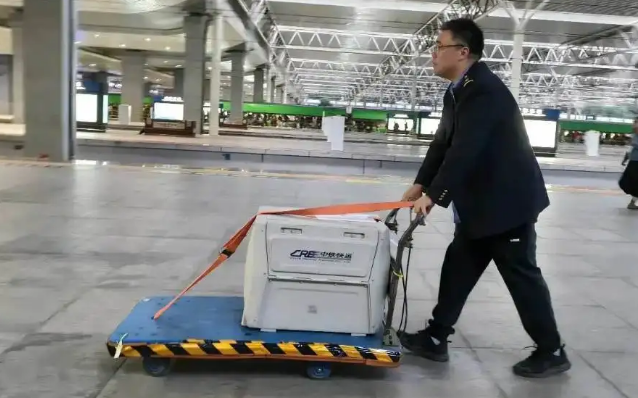 过年宠物怎么安置？这道团圆考题有了更多新答案