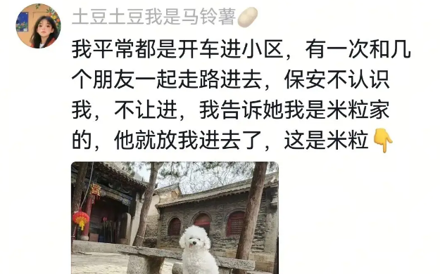网友为搬家临时租房过渡，房东一听狗子名字立刻免掉租金