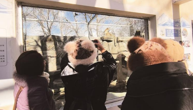 总面积约230平方米 西宁野生动物园豹馆全新亮相