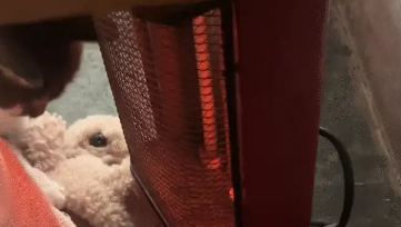 女子把小太阳挪到自己这边，猫咪又给挪了回去。猫：我不冷吗