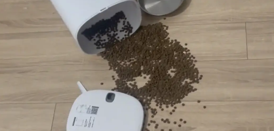 猫咪打翻喂食器一脸淡定，狗子却一脸心虚