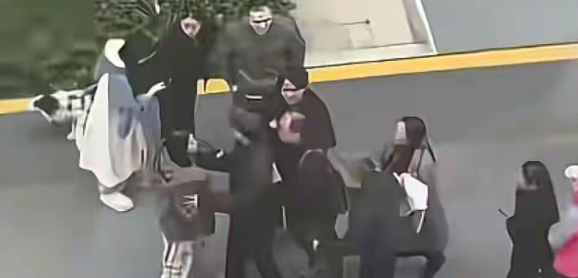 上海遛狗冲突最新，仗义邻居涨粉过万，狗主人却要挨罚？