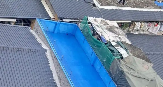 龙华一地被曝深夜狗吠声扰民，官方：无证犬已依法收容