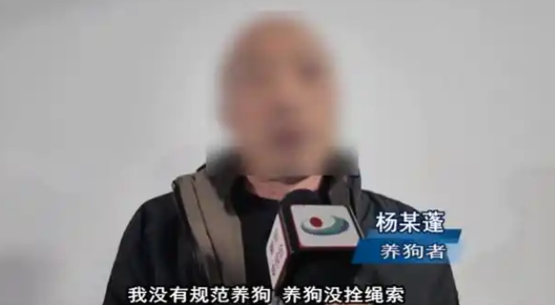 未拴绳狗追咬路人！肇事犬主人已被拘