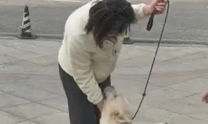 青岛女子刷视频刷到自己的狗在长沙，当事人：丢了三个月