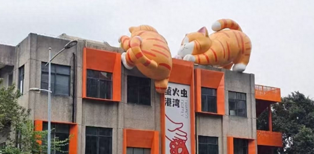 南滨路流浪猫治愈地标走红！萤火虫港湾猫猫主题乐园