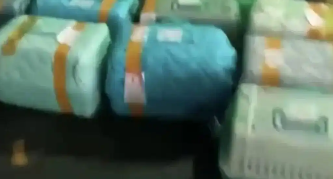 女子花1000元托运柴犬从贵州回甘肃，送到后柴犬死亡