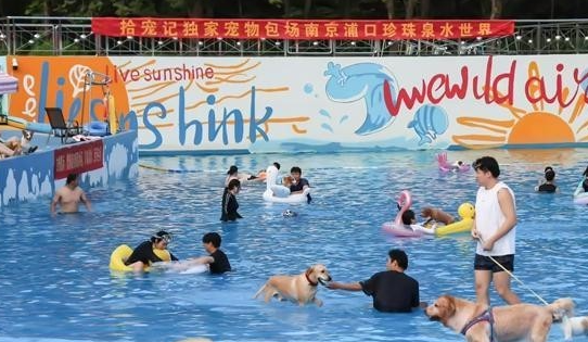 一群人一群狗一起玩 带宠物旅行，成了一门生意