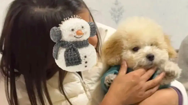 网友家来亲戚了，抱着狗子不撒手，笑死，沉浸式撸狗！ 