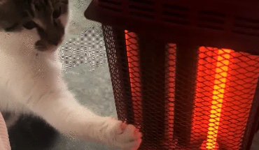 女子把小太阳挪到自己这边，猫咪又给挪了回去。猫：我不冷吗