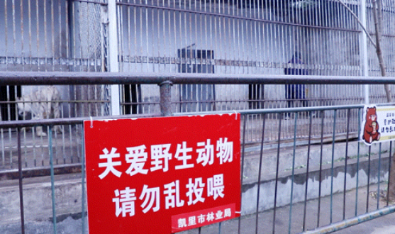 凯里动物园积极应对寒潮 多措并举保障动物安全温暖过冬