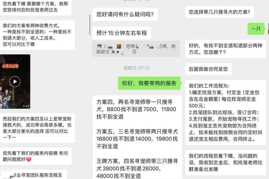 花高价寻宠发现猫咪还在室内，寻宠团队拒绝退费引纠纷