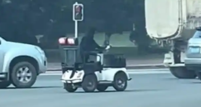 眉山奇闻：狗子开车体验生活，谁为这份奇葩宠爱买单？