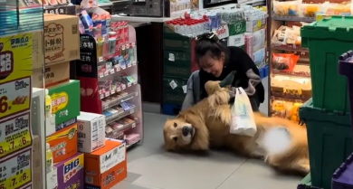 女子没给狗子买火腿肠，狗子赖在地上买了才肯走