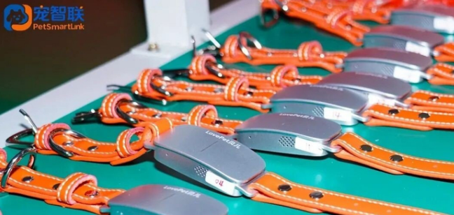 全球首创AI宠物翻译项圈亮相广东，宠智联开启人宠沟通新纪元