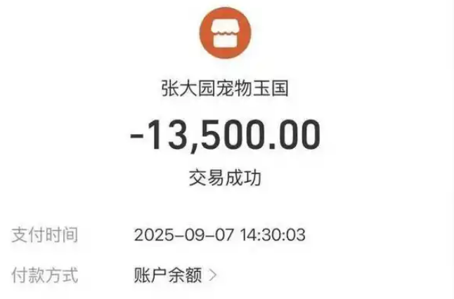 女子花近3万购买两只比熊犬，在短期内死亡和患病