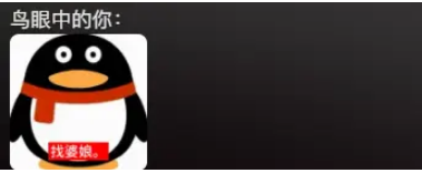 男子给鹦鹉准备精致“鲜花餐”，鹦鹉却一脸疑惑盯着他