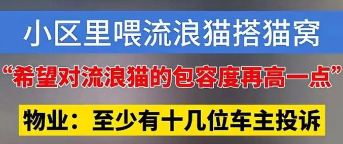 小区喂流浪猫搭窝，物业扔窝驱猫引争执