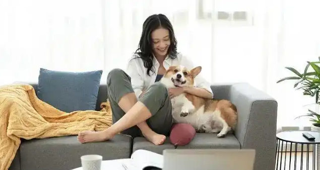 “宠物经济崛起！95后情感寄托催生新职业与万亿级市场机遇”