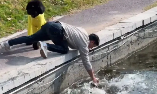 狗主人将自家狗子扔进河，一旁贵宾看得瑟瑟发抖…