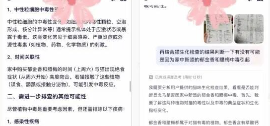 花6000元救不活的猫，被AI揪出“隐形杀手”！