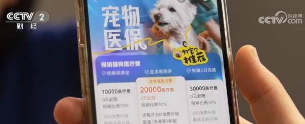 宠物消费市场规模超三千亿元 保障需求催生行业新增长点
