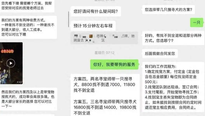 上海女子花8800元雇团队寻猫，结果物业发现就在屋内